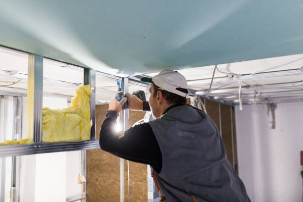 Trusted Sans Souci, SC Insulation Contractor Experts