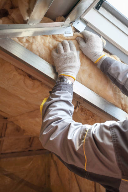 Best Blown-in Insulation in Sans Souci, SC