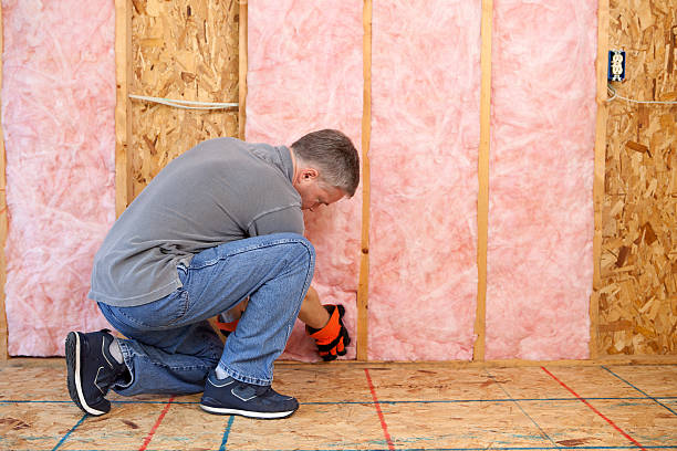Types of Insulation We Offer in Sans Souci, SC