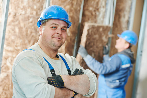 Best Insulation Maintenance and Repair in Sans Souci, SC